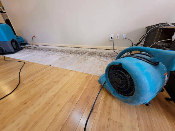 Professional Ceiling Water Damage Repair technician working in Oak Ridge, NC